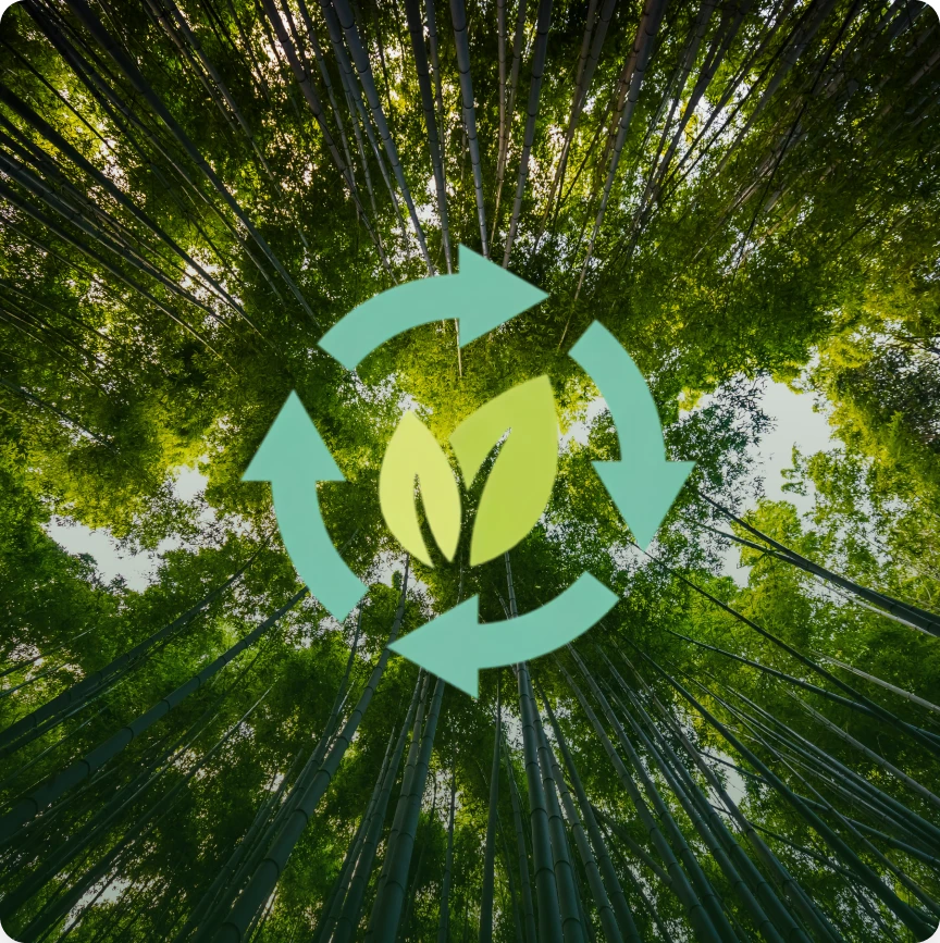Engesc - Engenharia Ambiental